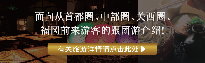 面向从首都圈、中部圈、关西圈、福冈前来游客的跟团游介绍！